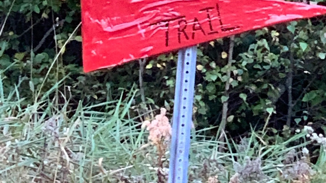 Photo of Others in Columbia
