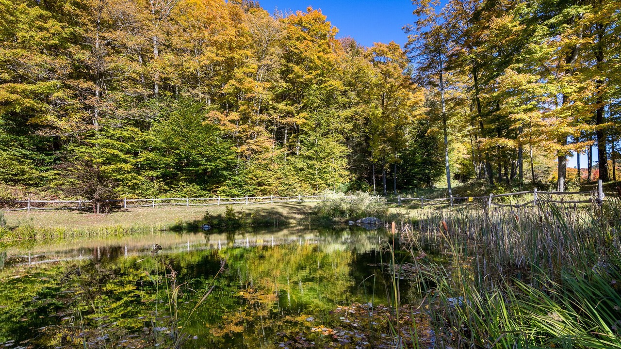 Photo of Outdoor in Corinth