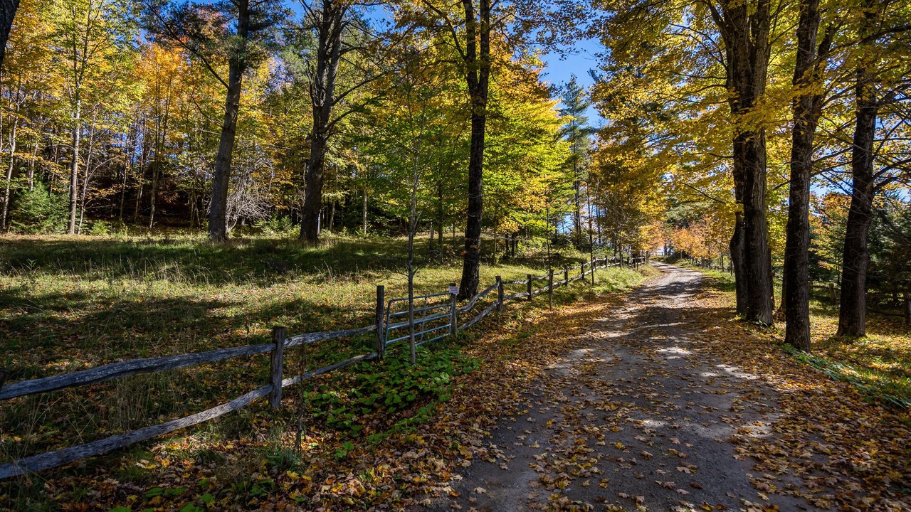 Photo of Outdoor in Corinth