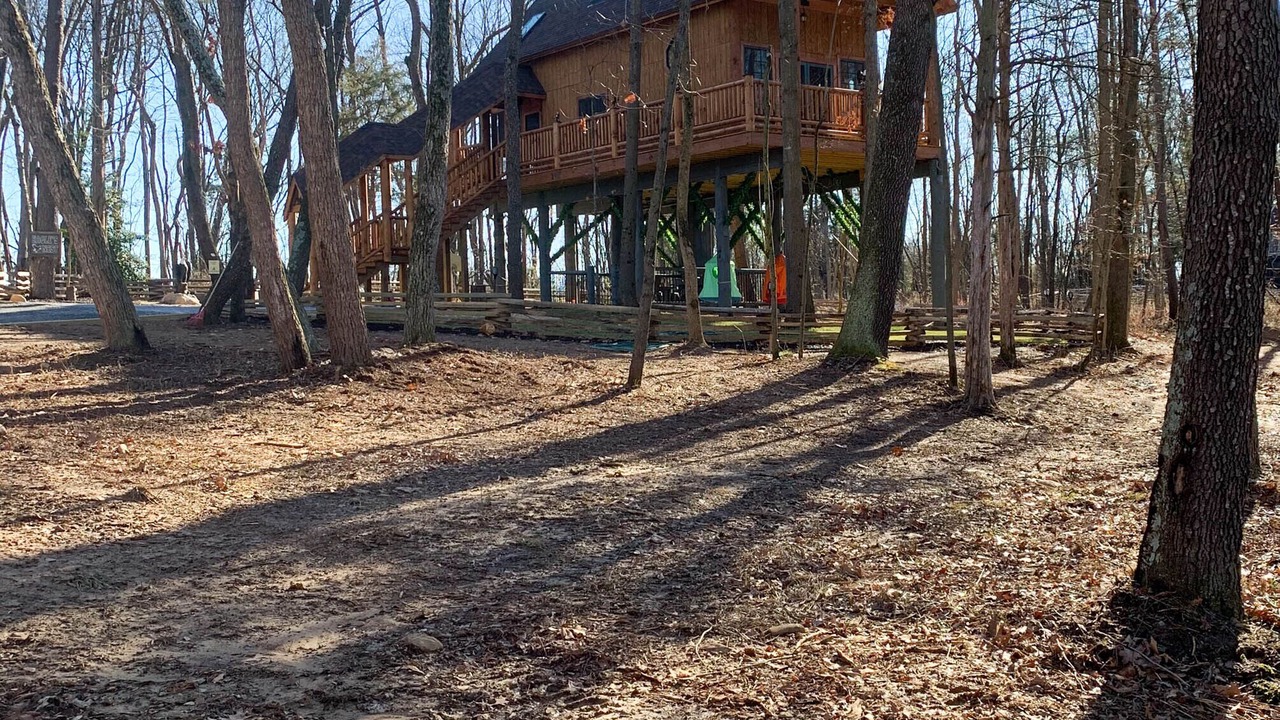 Photo of Outdoor in Shenandoah