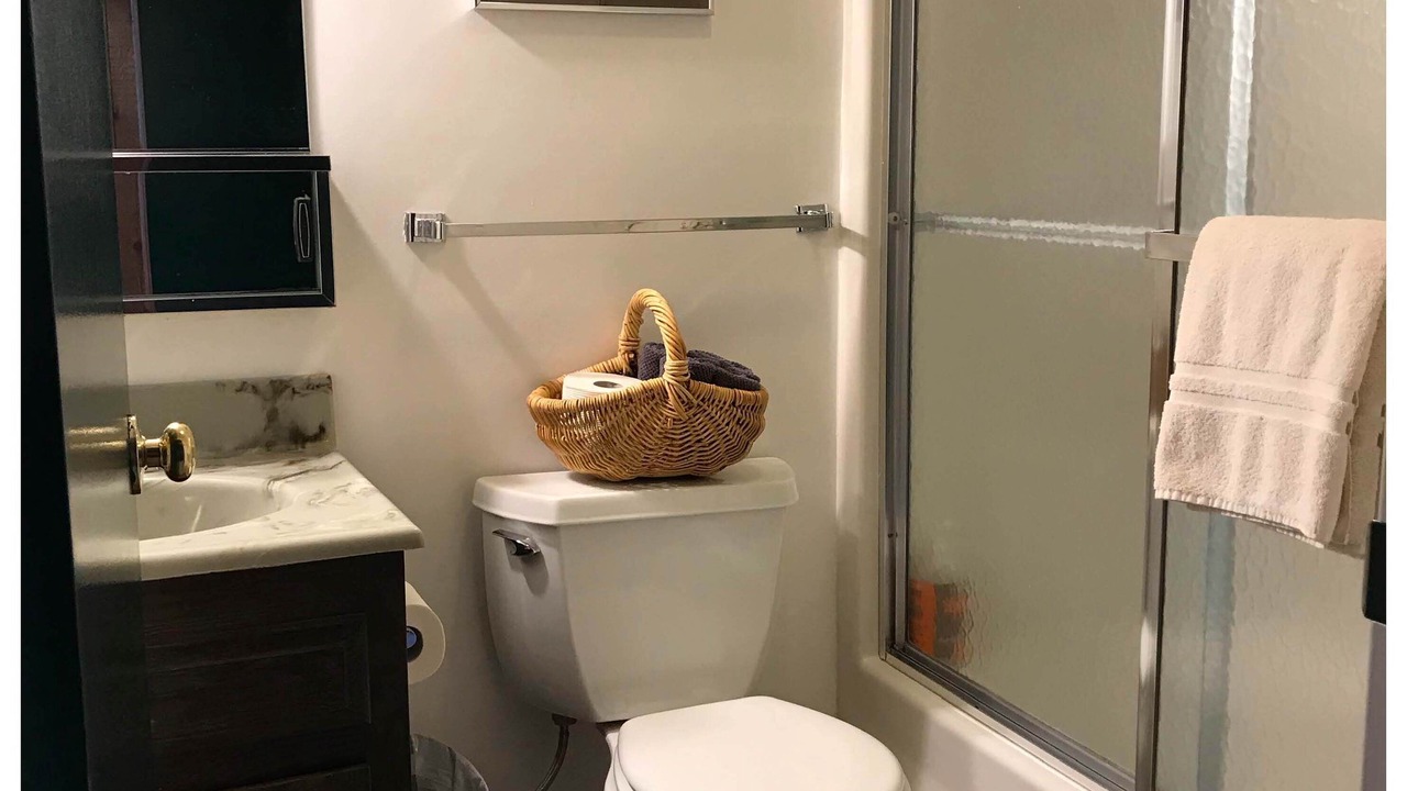 Photo of Bathroom in Bromley Mountain