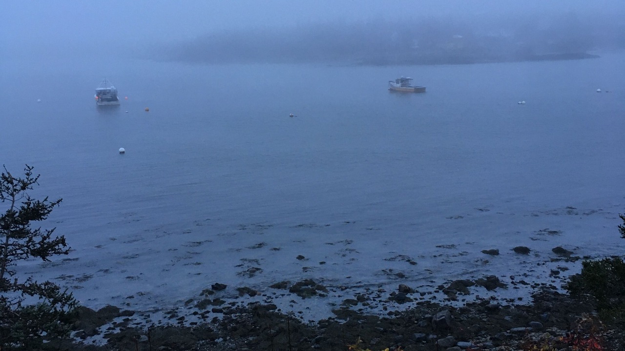 Photo of Others in Bass Harbor