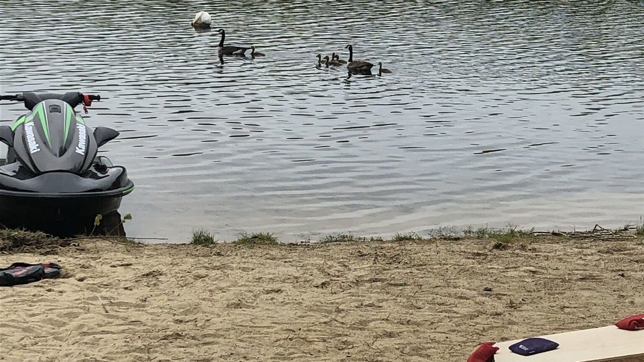 Photo of Others in Barnstead