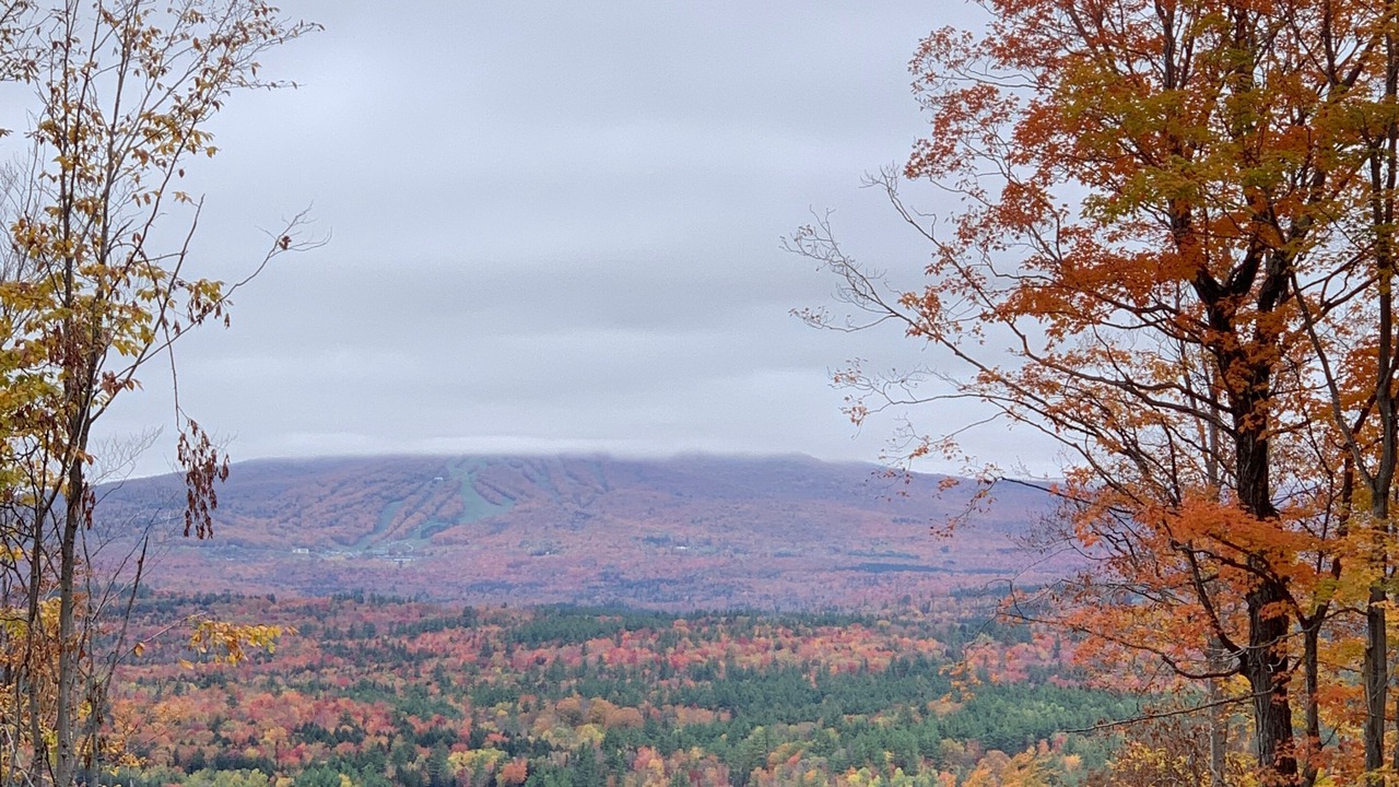 Photo of Others in Stratton Mountain