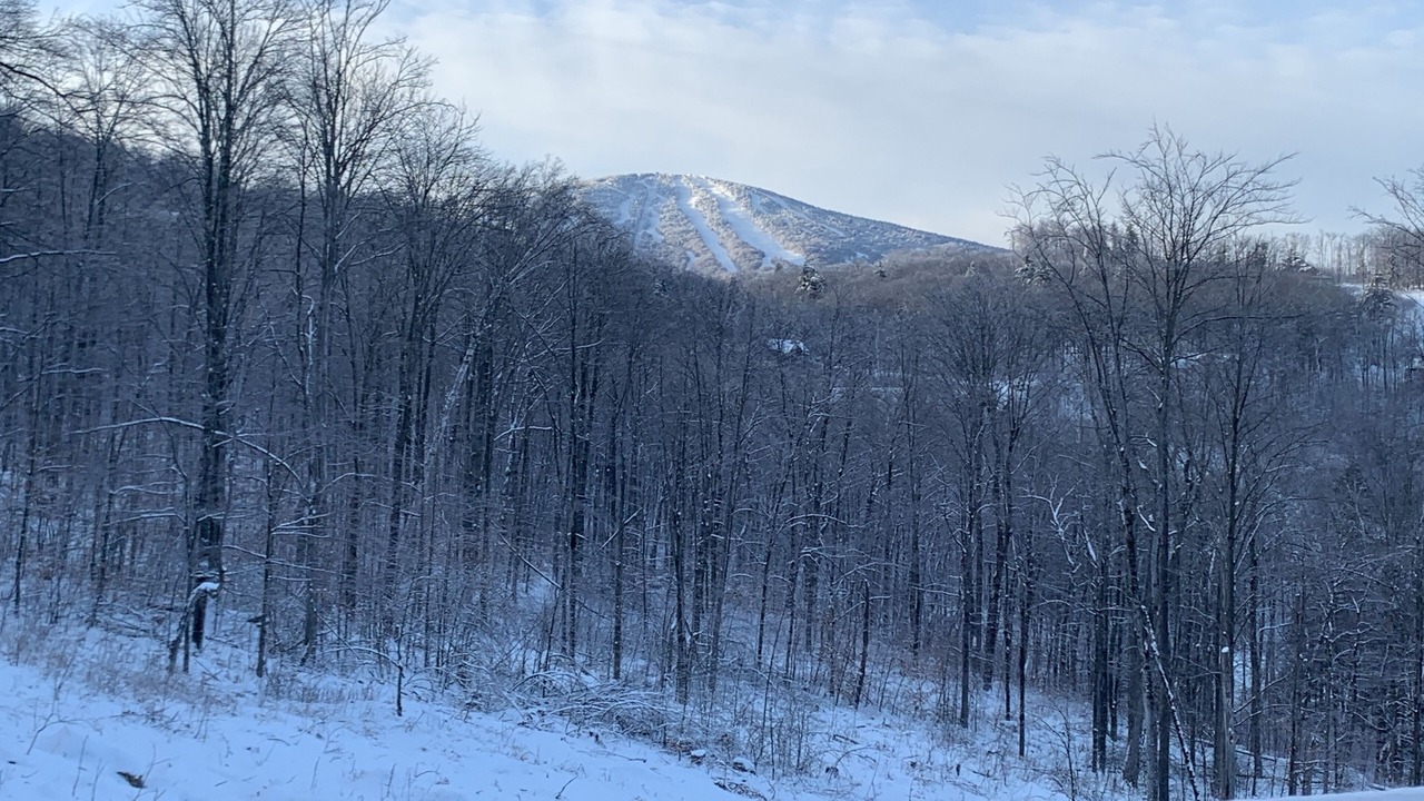 Photo of Bedroom in Stratton Mountain