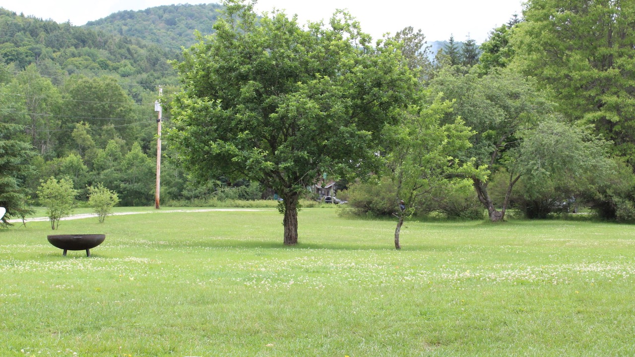 Photo of Others in Pittsfield