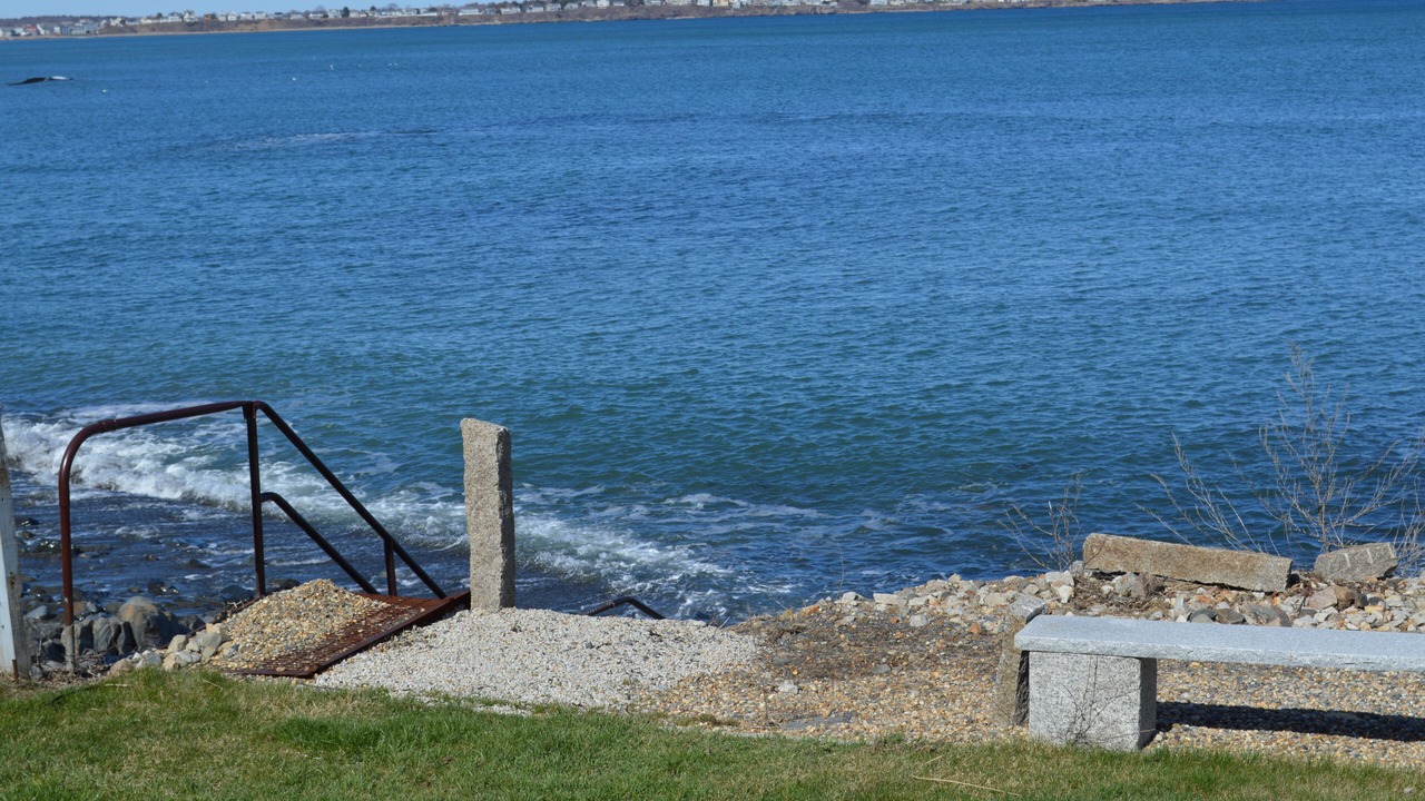 Photo of Others in York Harbor