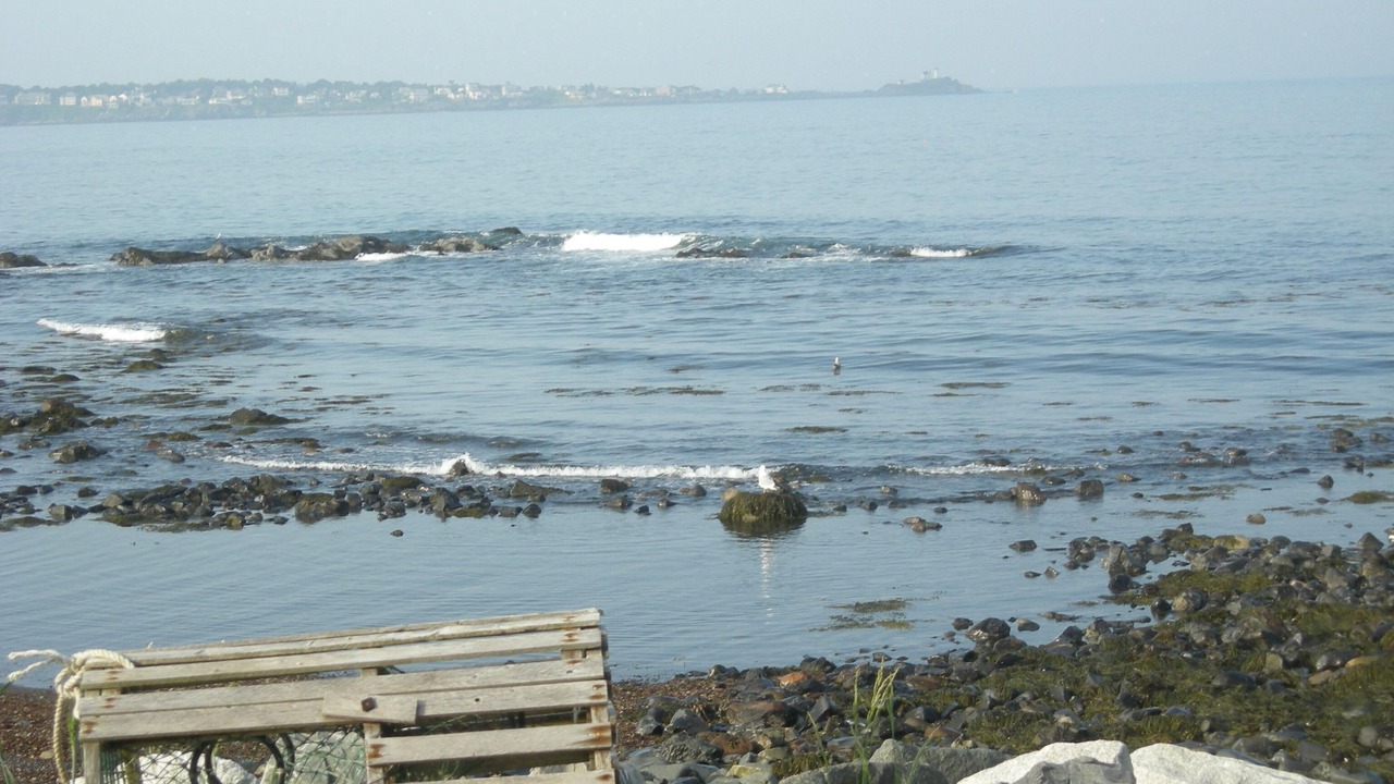 Photo of Others in York Harbor