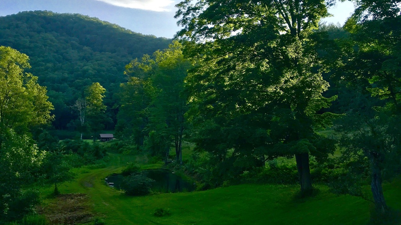 Photo of Outdoor in Sharon