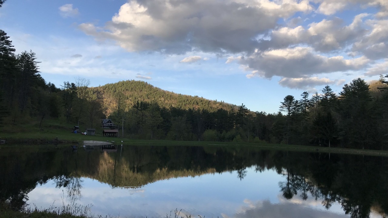 Photo of Outdoor in Sharon