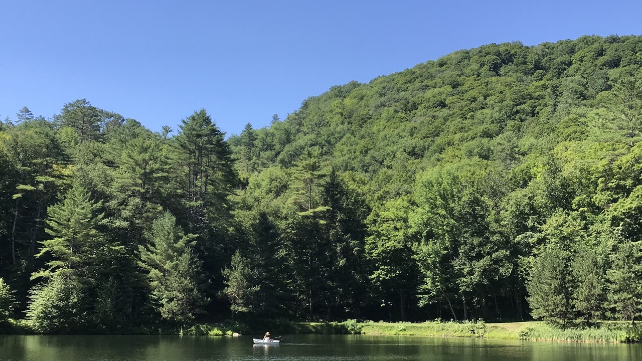 Photo of Outdoor in Sharon
