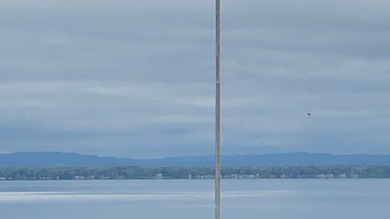 Photo of Others in North Bay