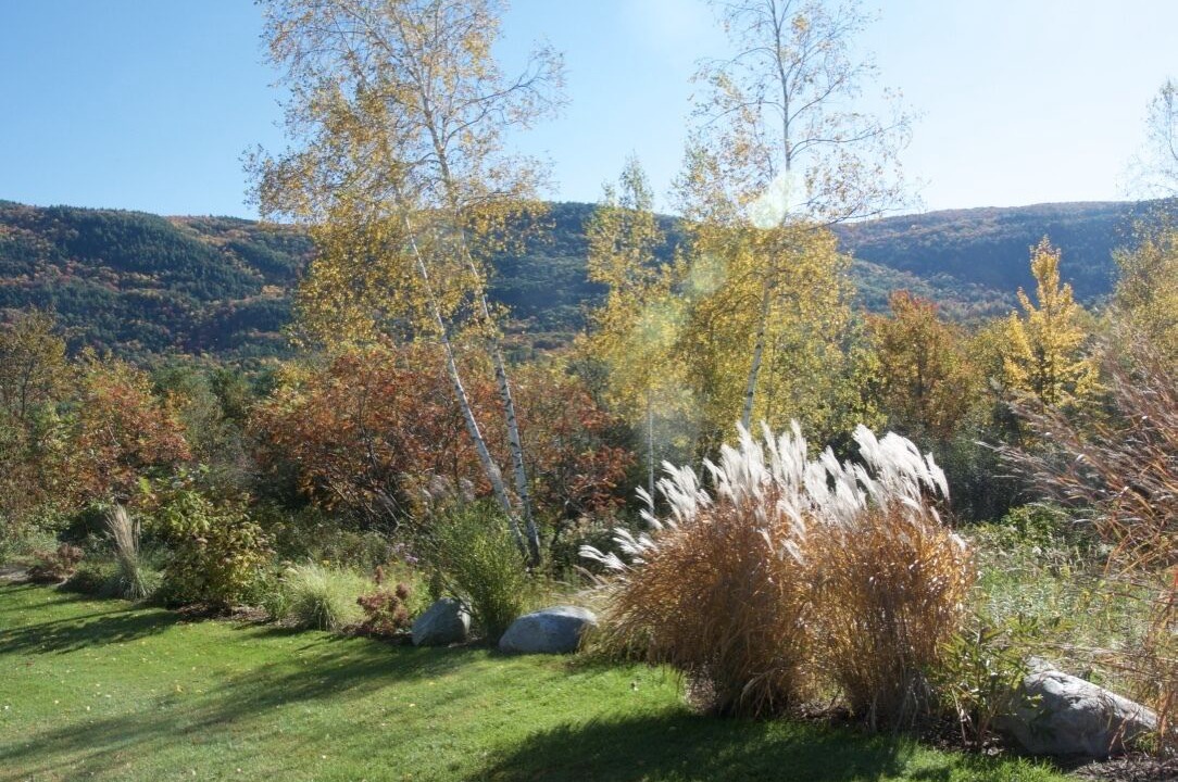 Photo of Outdoor in Middlebury