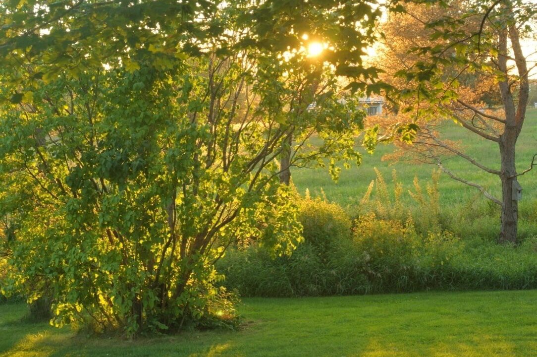 Photo of Outdoor in Middlebury