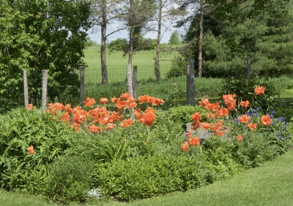 Photo of Outdoor in Middlebury