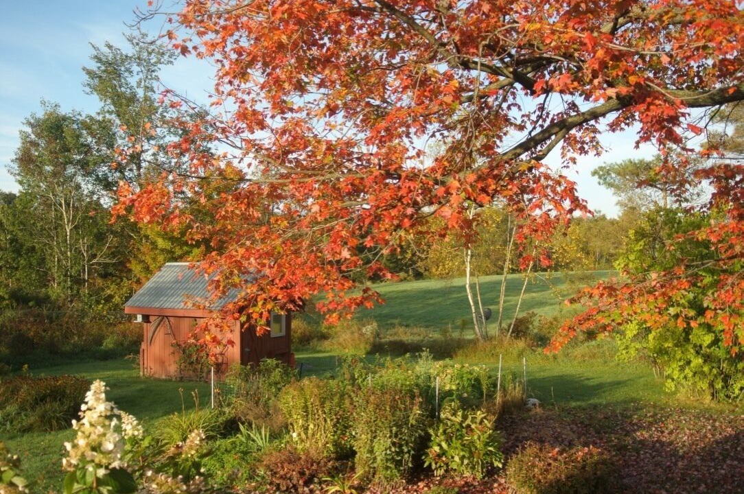 Photo of Outdoor in Middlebury