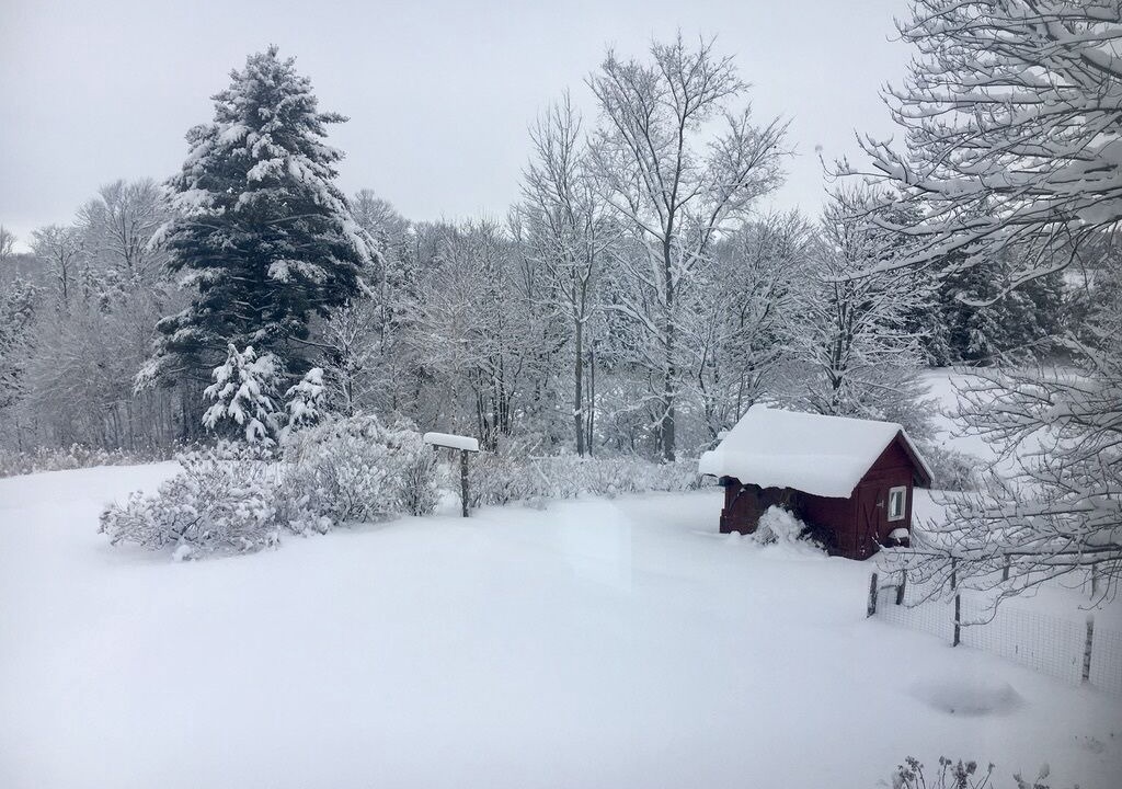 Photo of Outdoor in Middlebury