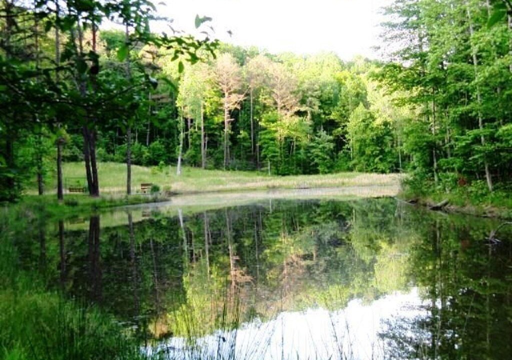Photo of Outdoor in Glenhayes