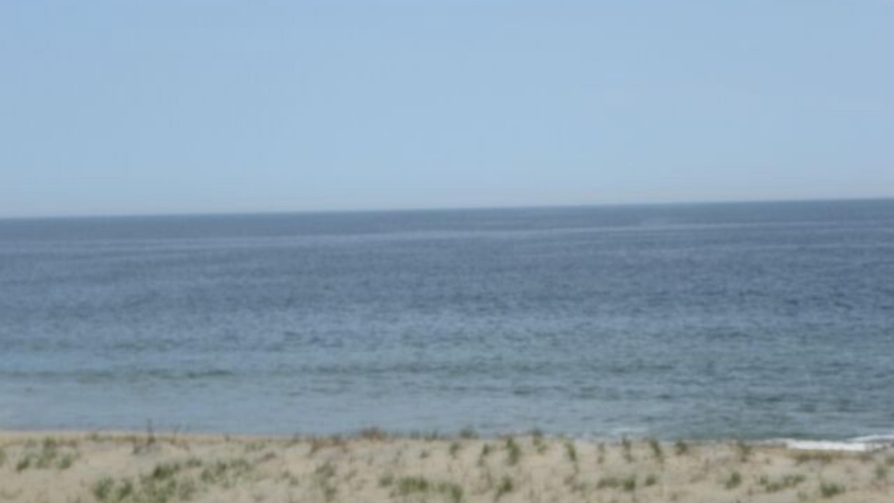 Photo of Others in North Ocean City