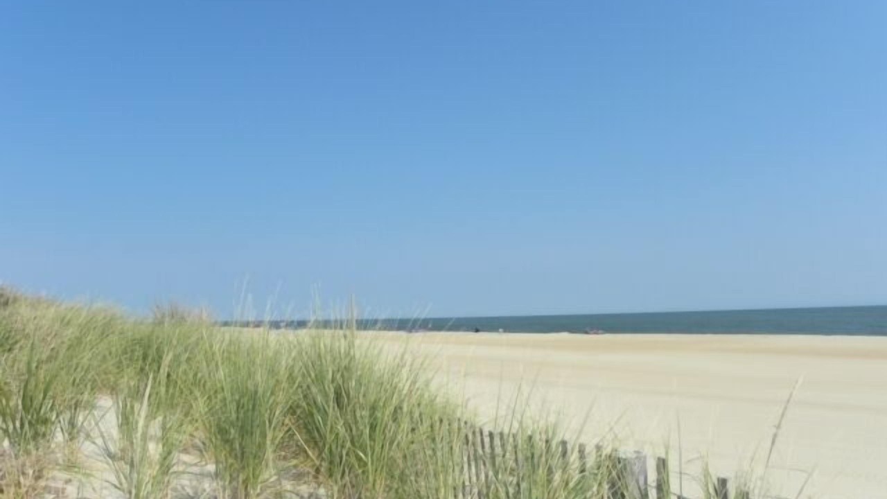 Photo of Others in North Ocean City