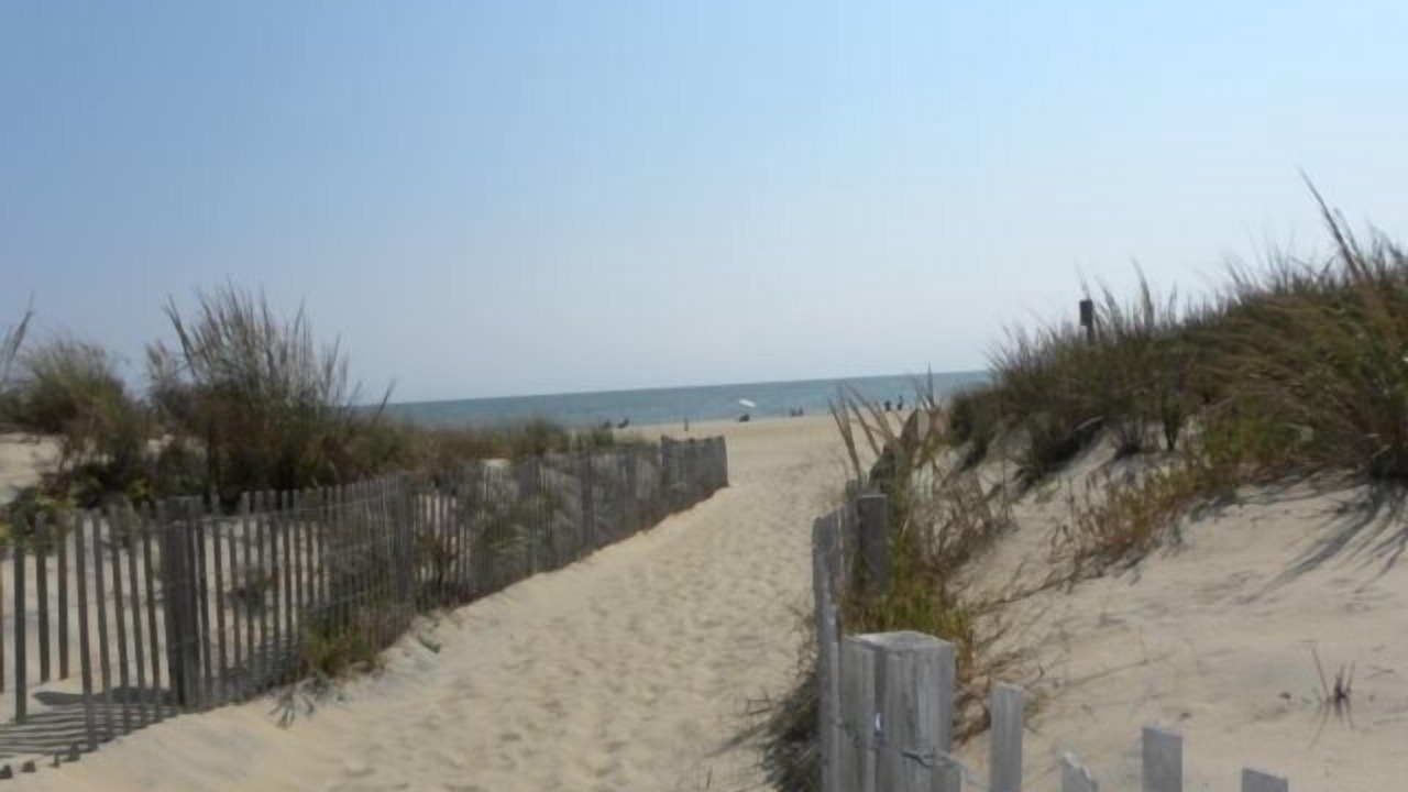 Photo of Others in North Ocean City