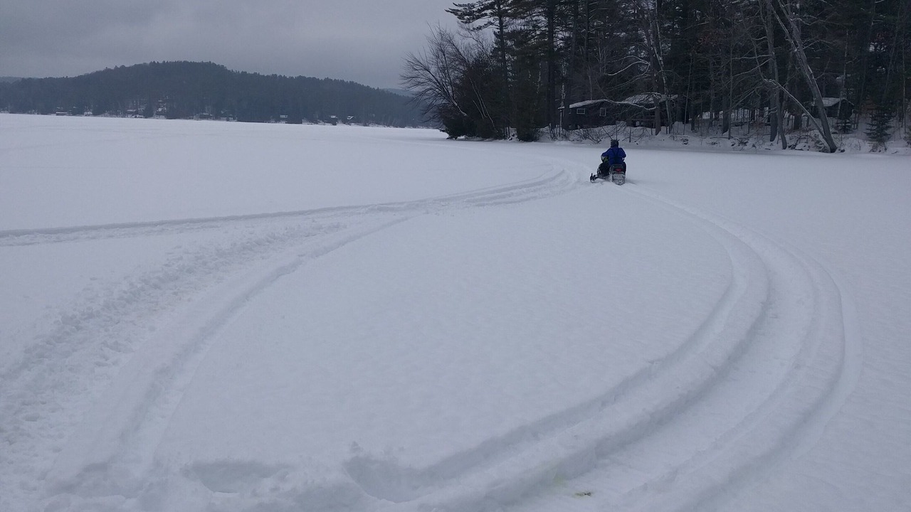 Photo of Others in Chestertown