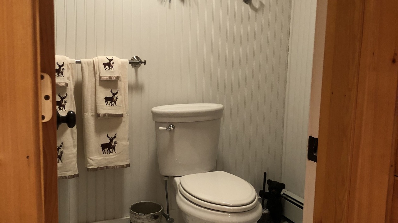 Photo of Bathroom in Gorham