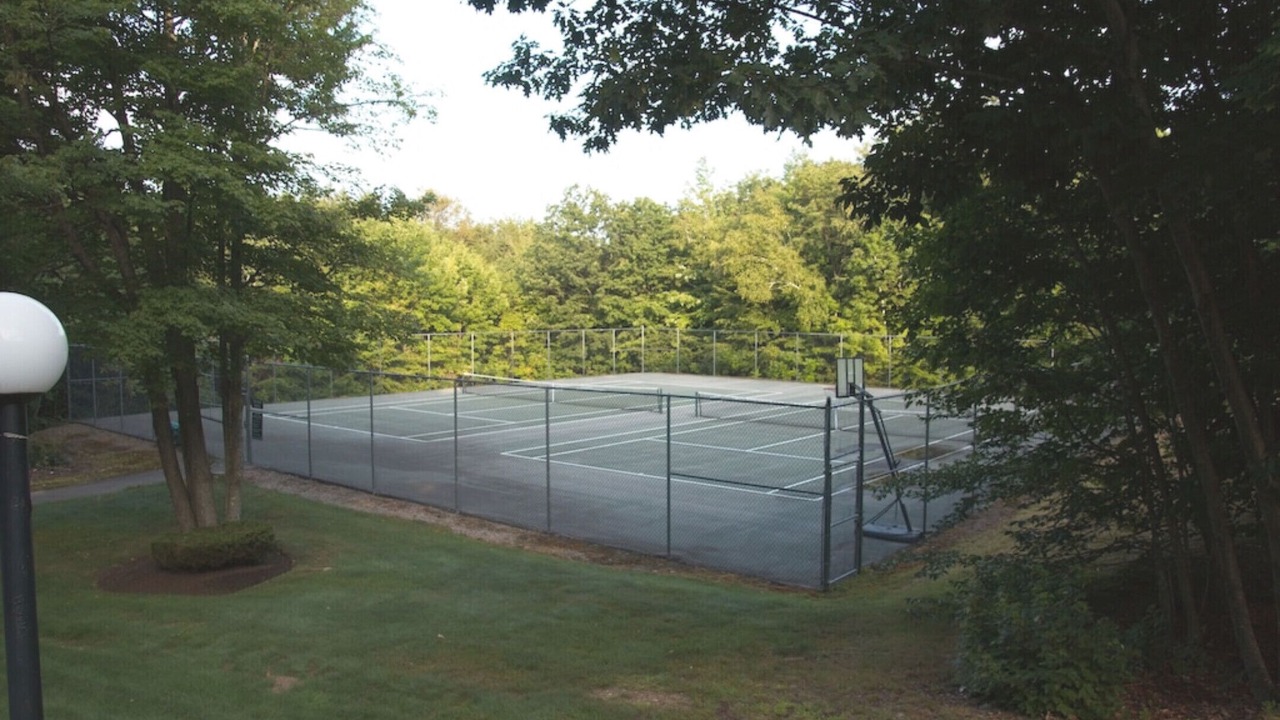 Photo of Others in Intervale