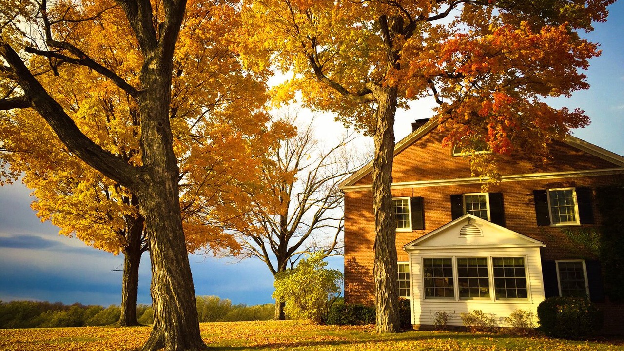 Photo of Outdoor in Shelburne