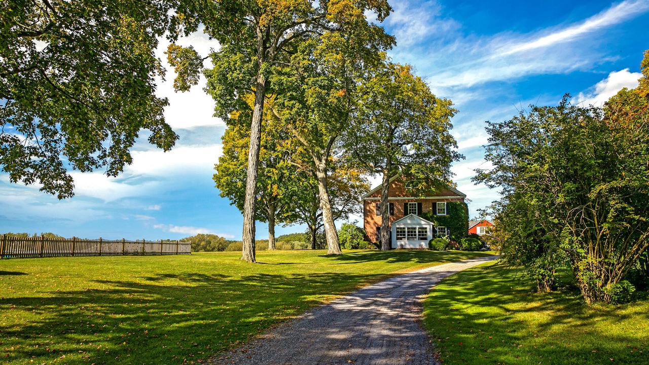 Photo of Outdoor in Shelburne