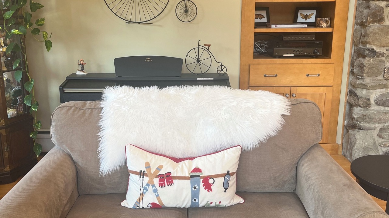 Photo of Livingroom in Stowe Hollow