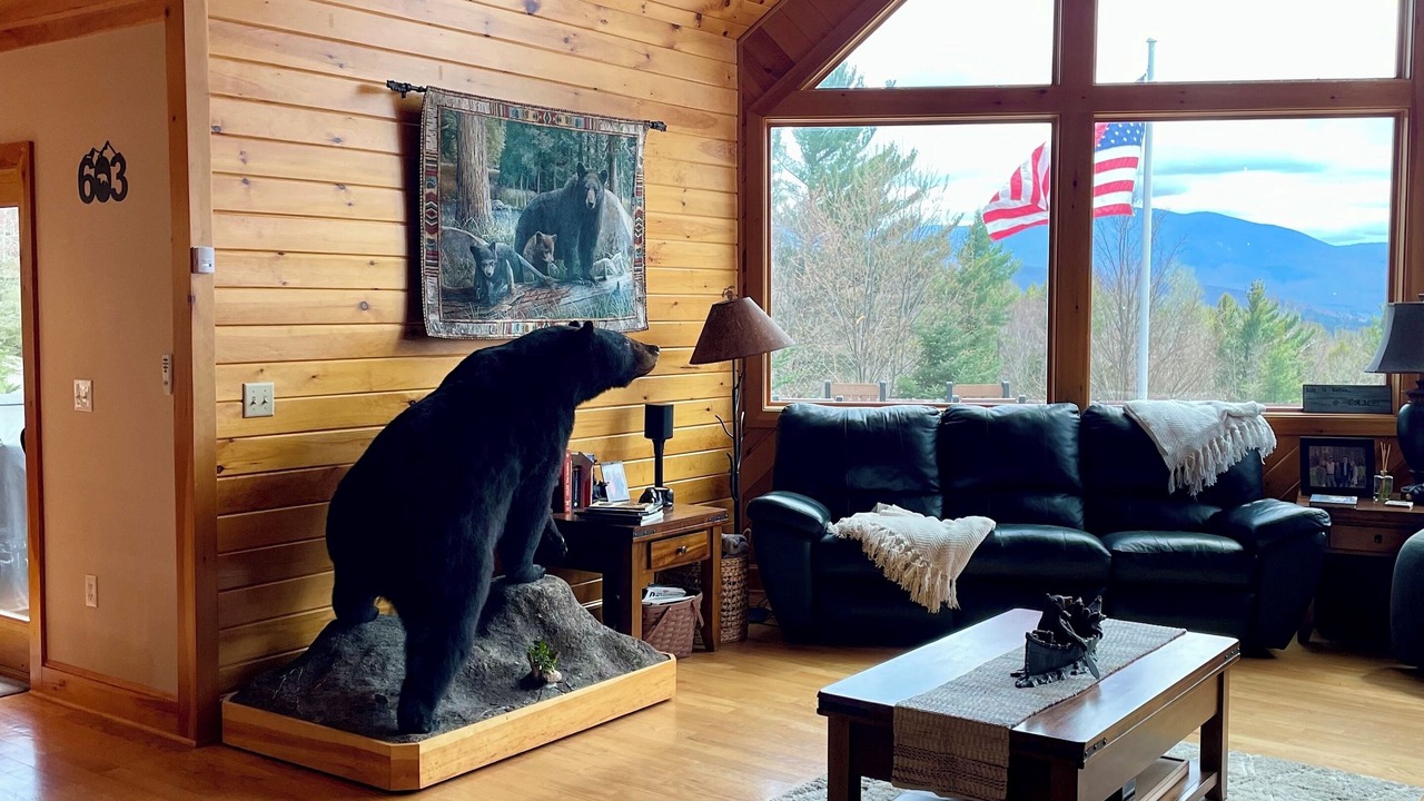 Photo of Others in Twin Mountain