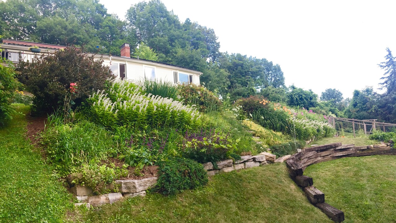 Photo of Others in Middlebury - Warren