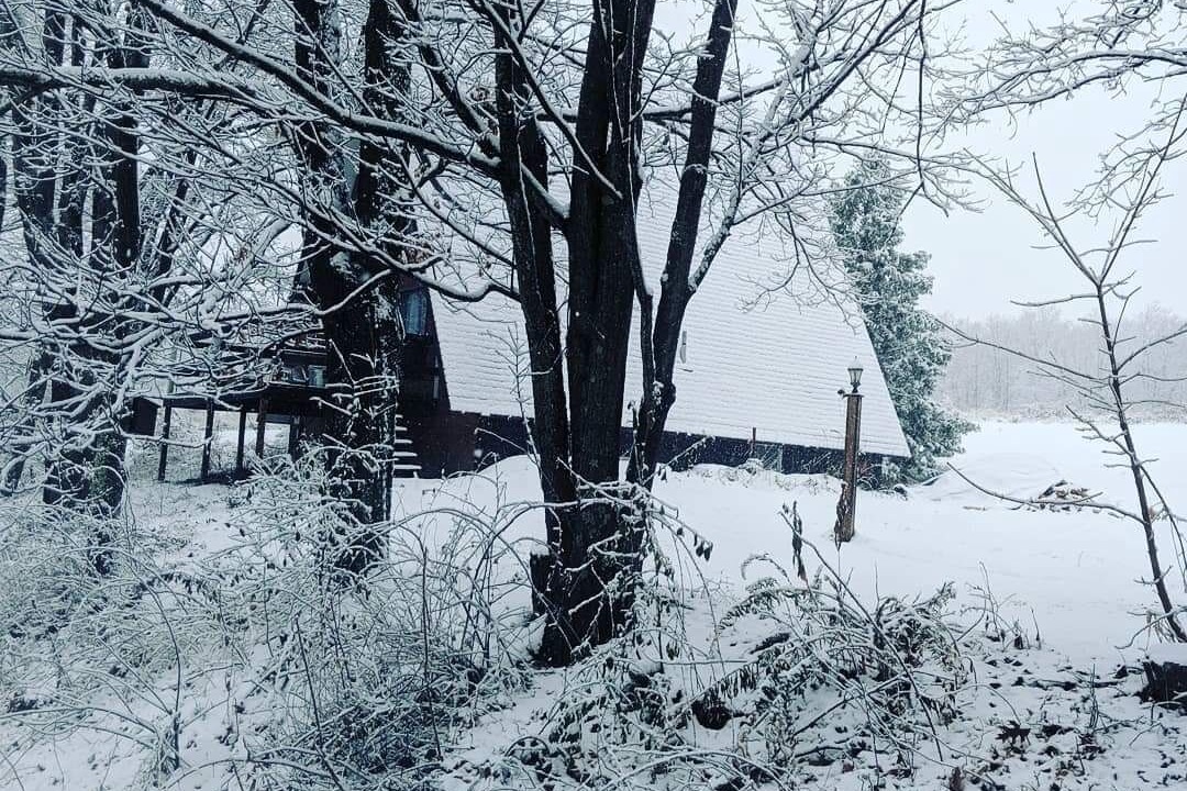 Photo of Outdoor in Johnsonville
