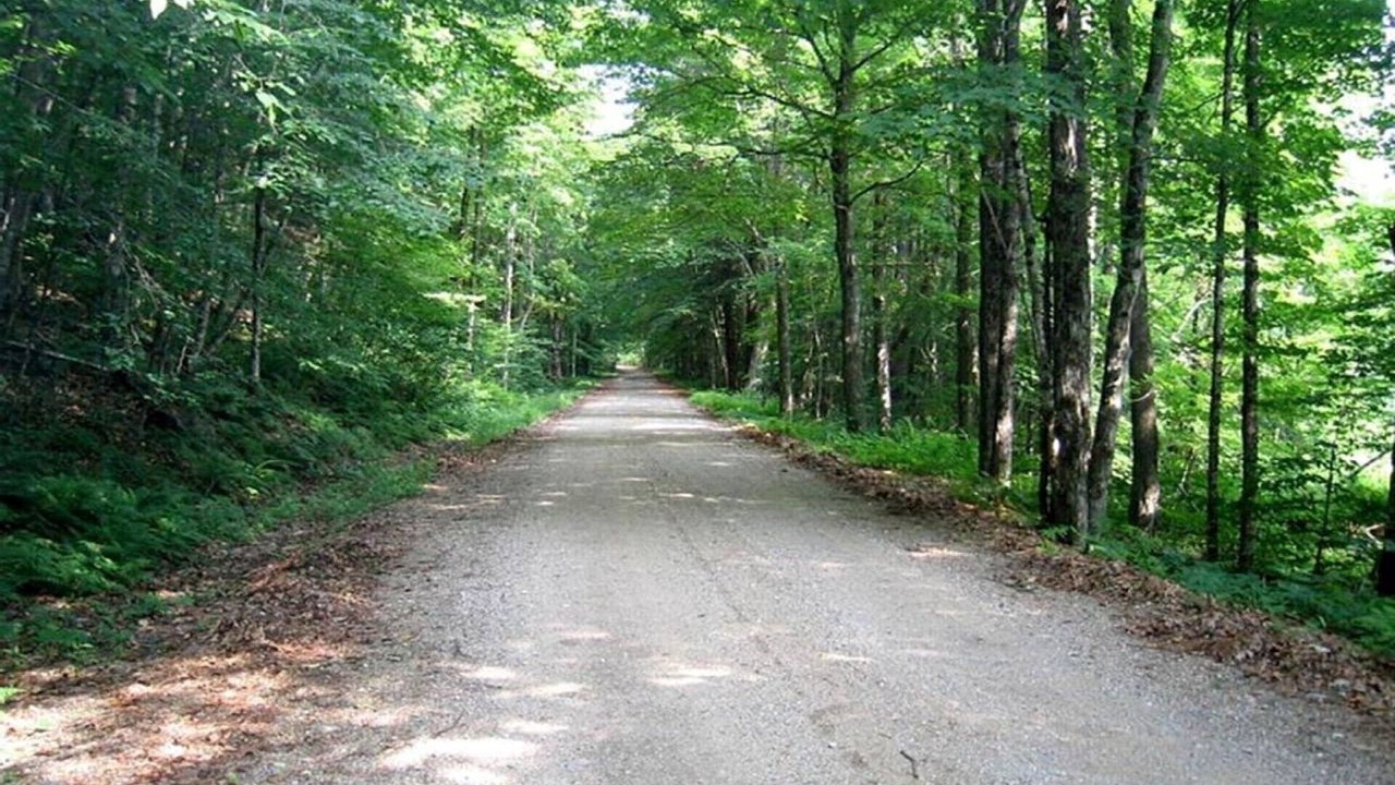 Photo of Others in Northville