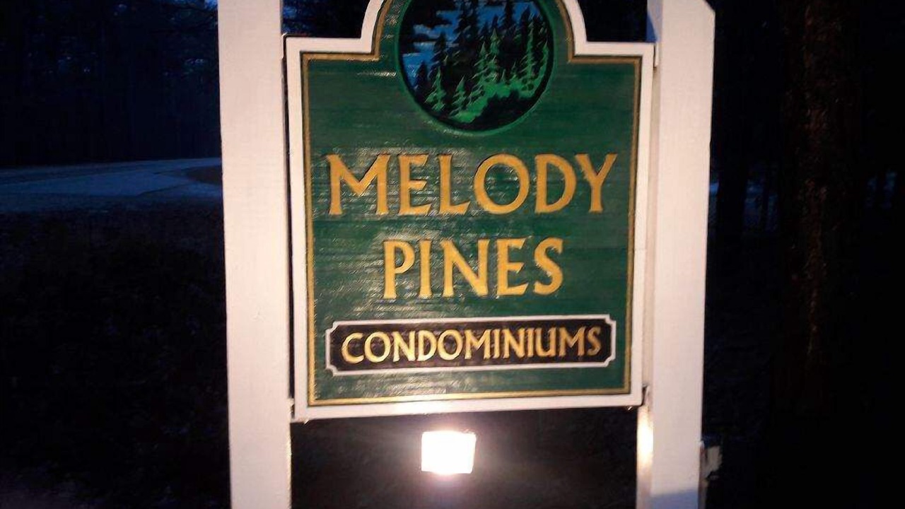 Photo of Outdoor in Center Conway