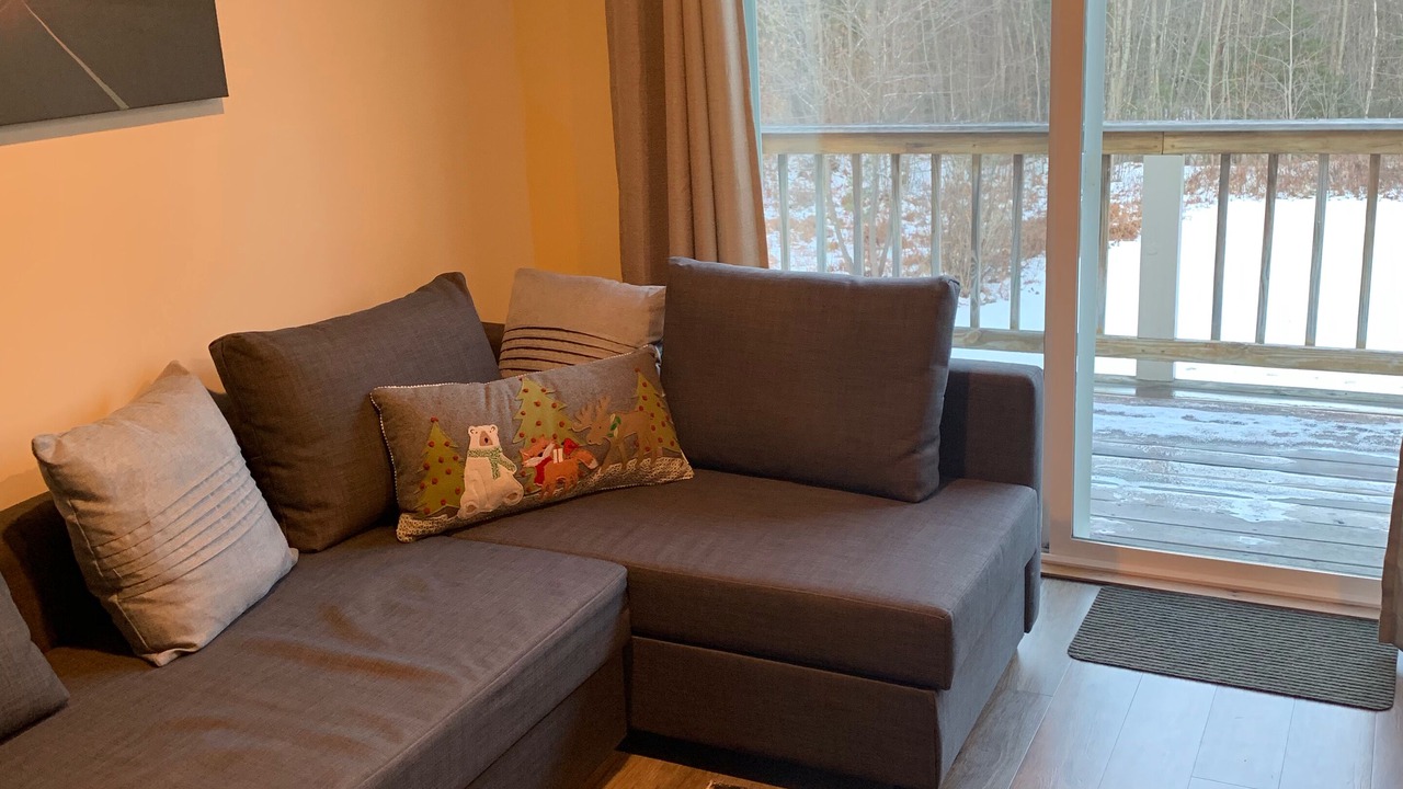 Photo of Livingroom in Center Conway