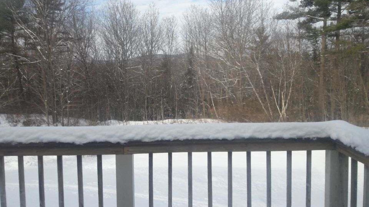 Photo of Outdoor in Center Conway