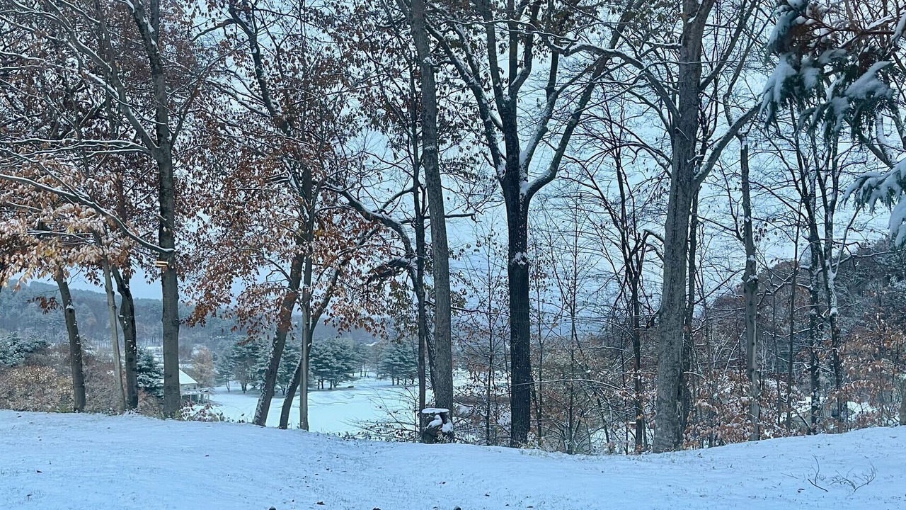 Photo of Others in West Hartford