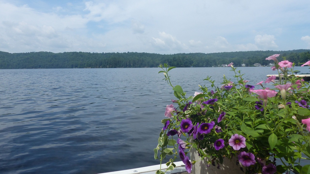 Photo of Outdoor in Crystal Beach