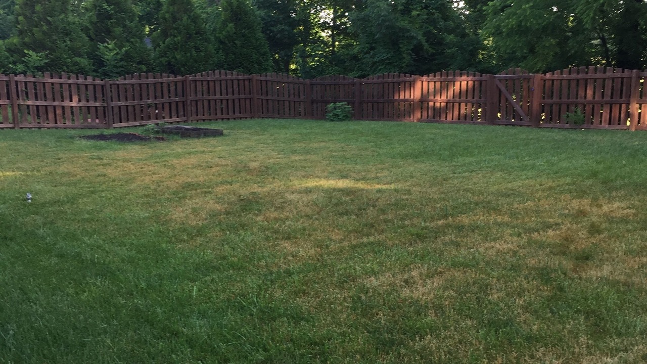 Photo of Outdoor in High Point