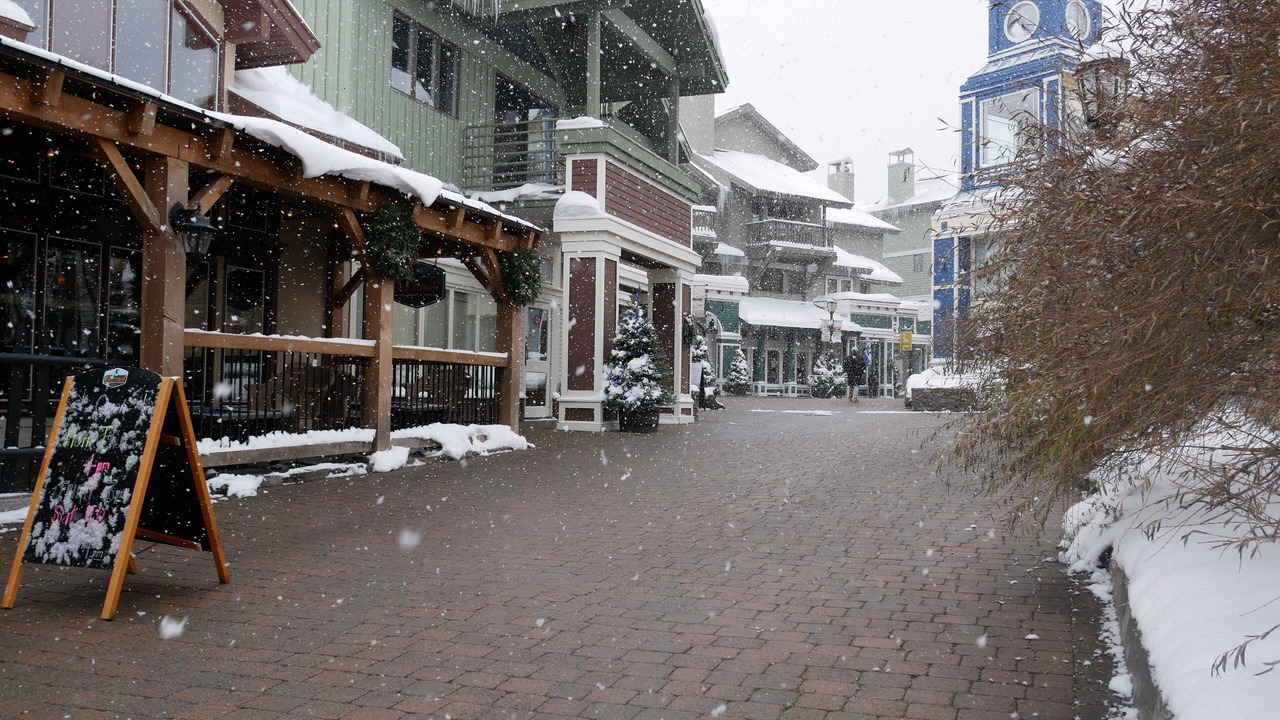 Photo of Others in Stratton Mountain
