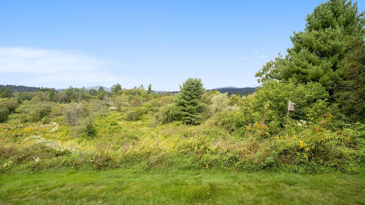 Photo of Others in Stowe