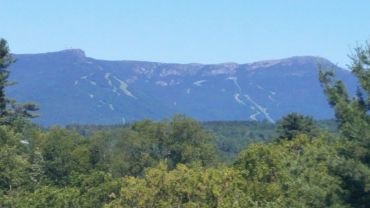 Photo of Others in Stowe