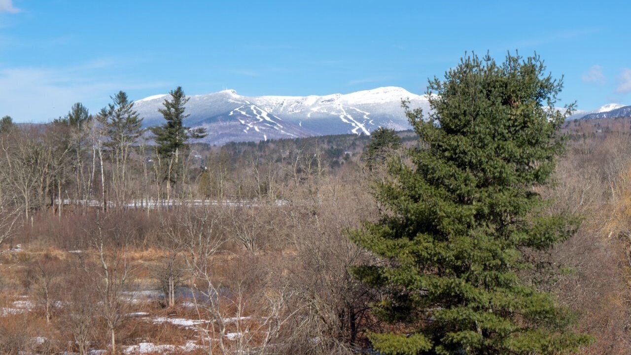 Photo of Others in Stowe