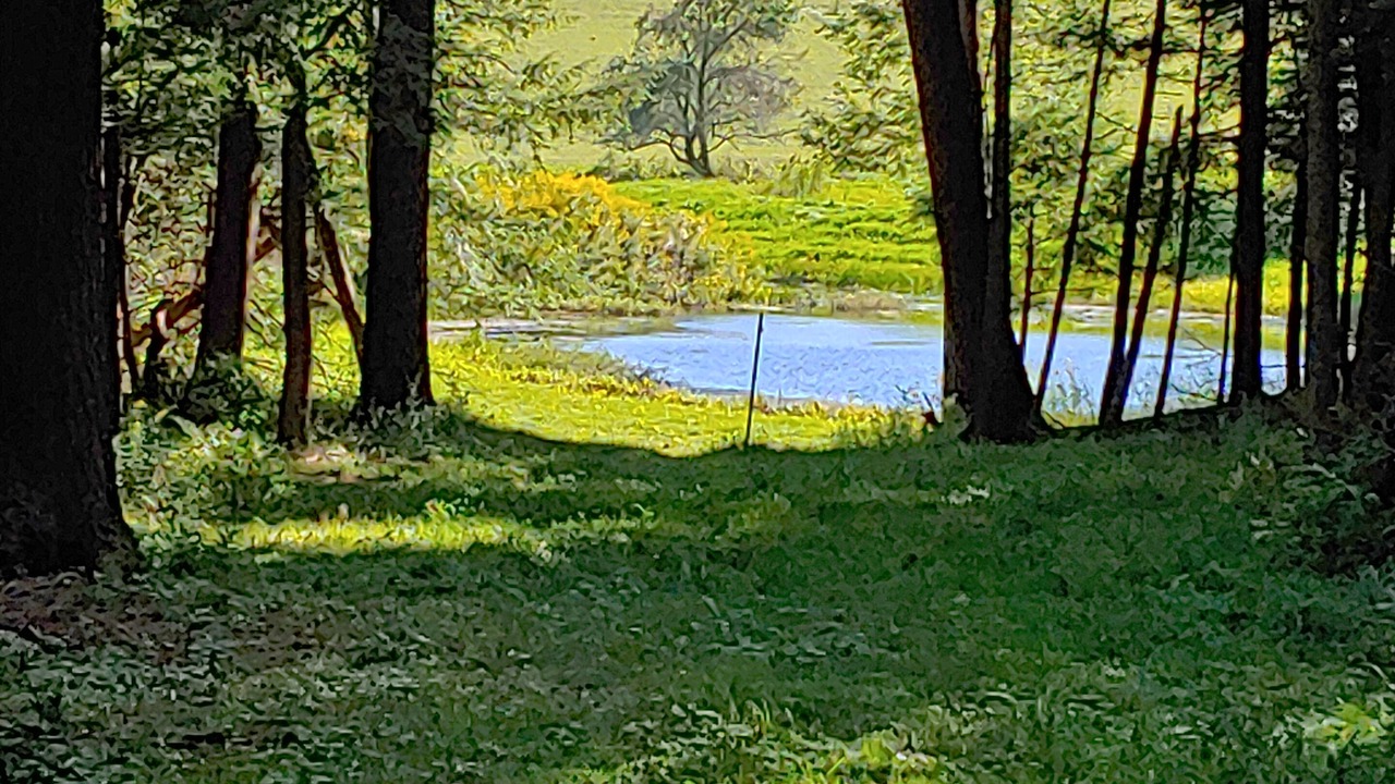 Photo of Others in Richfield Springs
