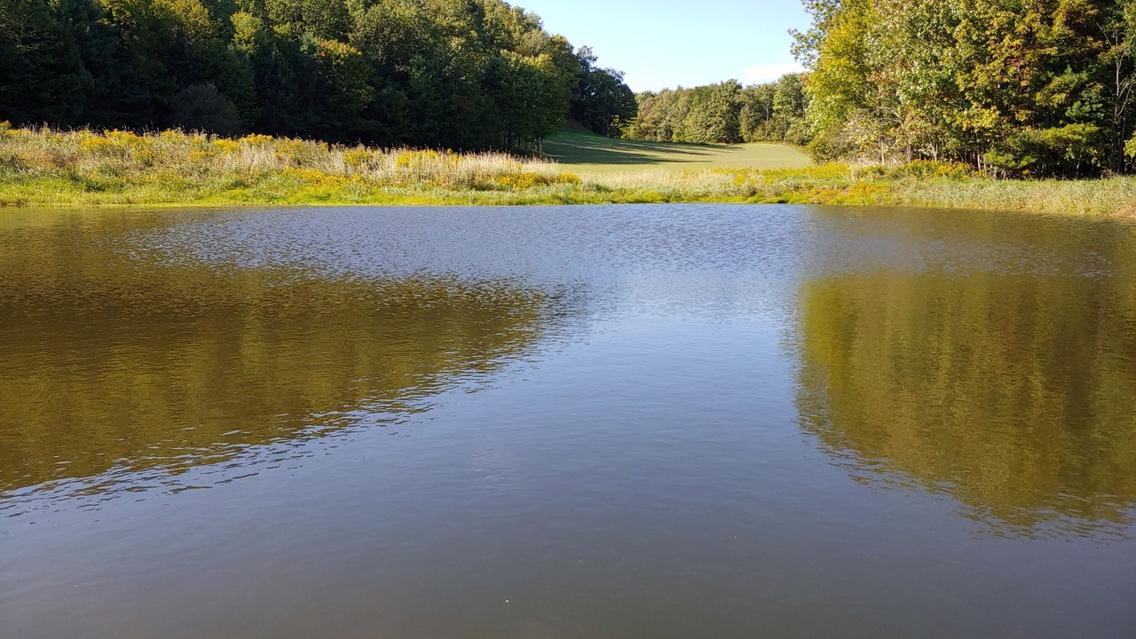 Photo of Others in Richfield Springs