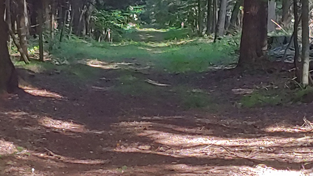 Photo of Others in Richfield Springs
