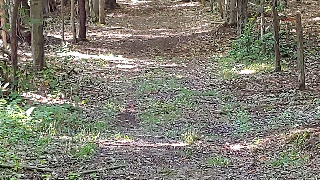 Photo of Others in Richfield Springs