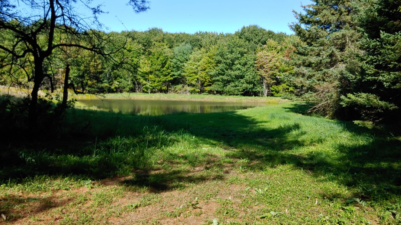 Photo of Outdoor in Richfield Springs